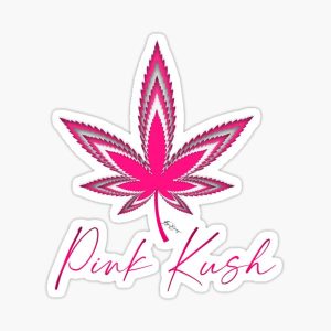 Pink Kush Cloud