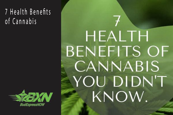 7 Health Benefits Of Cannabis - BudExpressNOW