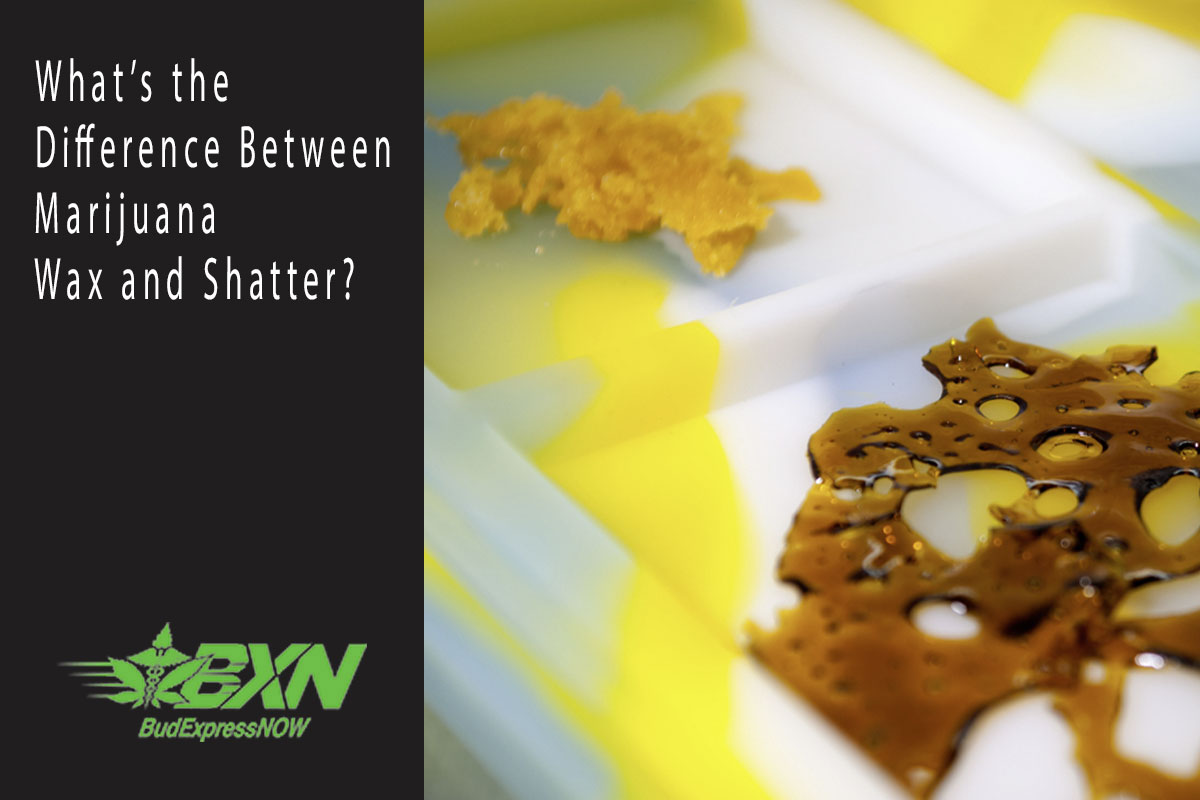 What’s The Difference Between Marijuana Wax And Shatter? - BudExpressNOW