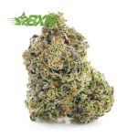 Buy GMO Cookies (Craft) at BudExpressNOW Online