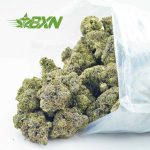 Buy GMO Cookies (Craft) at BudExpressNOW Online