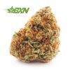 Buy Sour Tangie AA at BudExpressNOW Online Shop