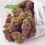 Buy Island Sweet Skunk AAAA at BudExpressNOW Online.