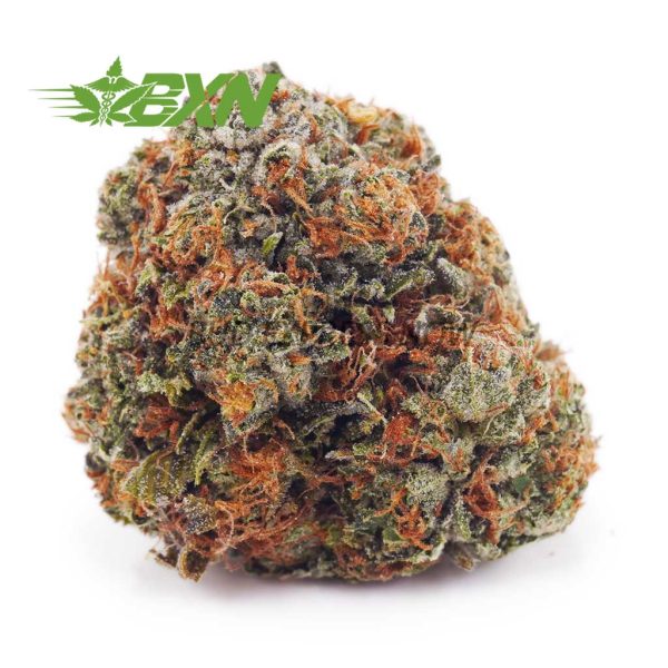 Buy Gorilla Glue #4 AAA at BudExpressNOW Online Shop