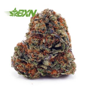Buy Lemon Skunk AA at BudExpressNOW Online