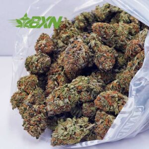 Buy Lemon Skunk AA at BudExpressNOW Online