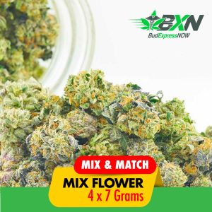 Buy Mix & Match AAA-AAAA Strain - 7g x 4 at BudExpressNOW Online Shop