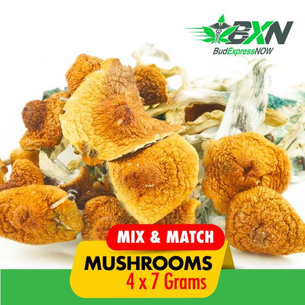 Buy Mushroom Mix N Match 28g at BudExpressNOW Online Shop
