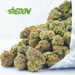 Buy Bio Diesel AA at BudExpressNOW Online