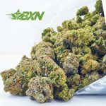 Buy King Tut AA at BudExpressNOW Online