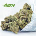 Buy Platinum Pink Kush AAAA at BudExpressNOW Online