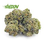 Buy Garlic Cookies AAAA (Popcorn) at BudExpressNOW Online