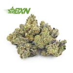 Buy Dutch Treats AAAA (Popcorn) at BudExpressNOW Online