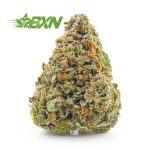 Buy Platinum OG AA at BudExpressNOW Online