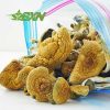 Buy Mushroom - African Transkei at BudExpressNOW Online Shop
