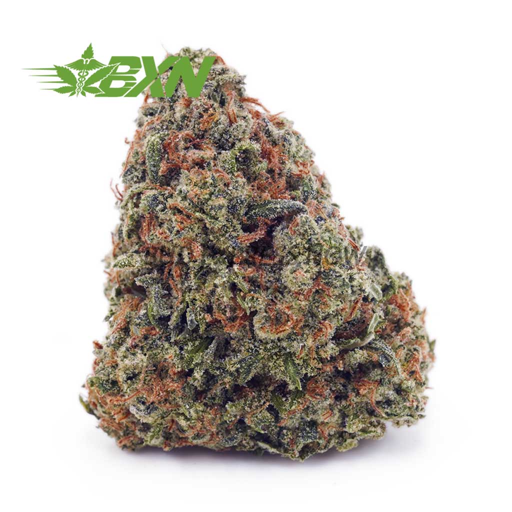 Buy Jack Herer AAAA at BudExpressNOW Online