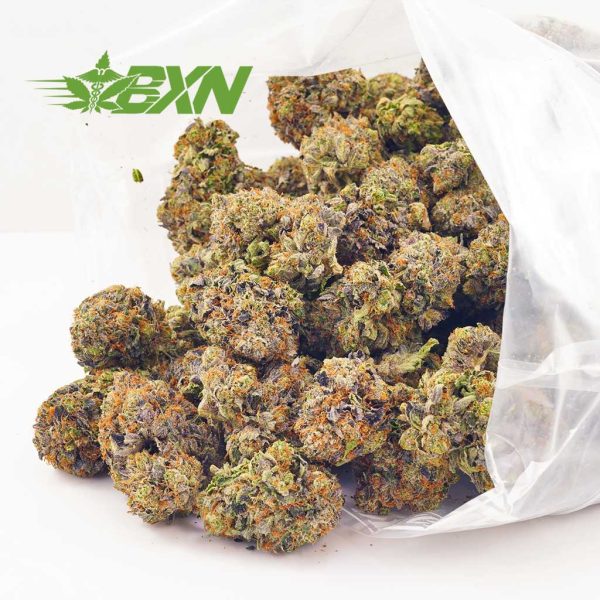 Buy weed pine tar strain or pine tar kush from budexpressnow. Buymyweedonline from the best online dispensary Canada.