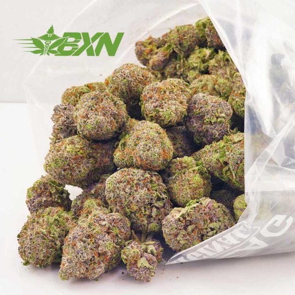 Buy weed online Jungle Cake strain at Bud Express Now online dispensary in Canada. mail order marijuana.