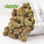 Buy King Louis Xlll weed online from mail order marijuana weed dispensary Bud Express Now. buy weed online canada.