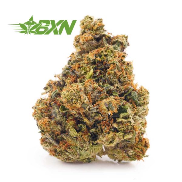 Buy weed gas monkey strain at Bud Express Now online dispensary. mail order marijuana. online weed canada. buy low buds.