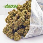 Order weed online gas monkey strain in Canada. mail order weed. mail order marijuana canada. order marijuana online.