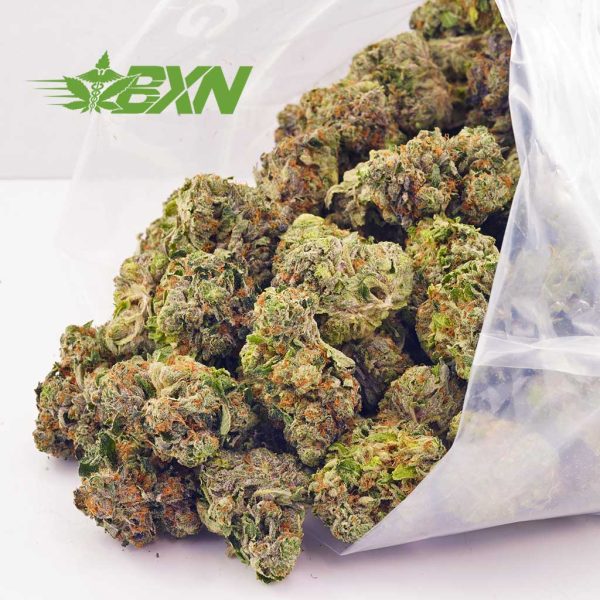 Buy weed online la confidential strain at Bud Express Now online dispensary. mail order marijuana. online weed canada. buy low buds.