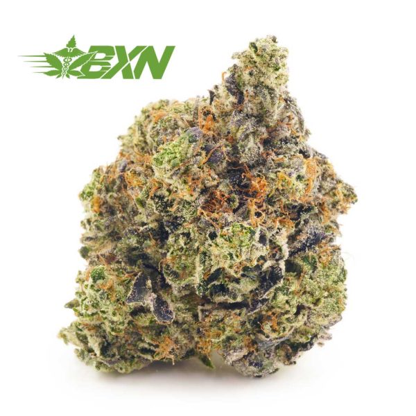 Buy weed Supreme Gas Mask strain from the best online dispensary for mail order weed BudExpressNow. online dispensary. cannabis canada. weed online.