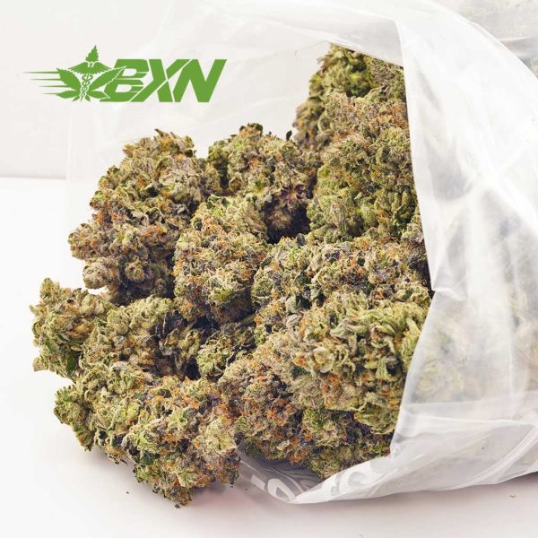 Buy weed Supreme Gas Mask strain from the best online dispensary for mail order weed BudExpressNow. online dispensary. cannabis canada. weed online.