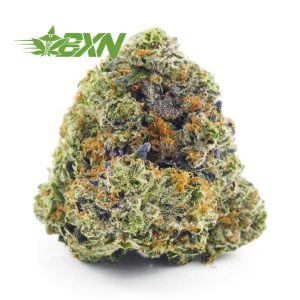 Buy weed Blueberry OG strain from Bud Express Now online dispensary in Canada. weed online canada. budget buds. mail order marijuana.