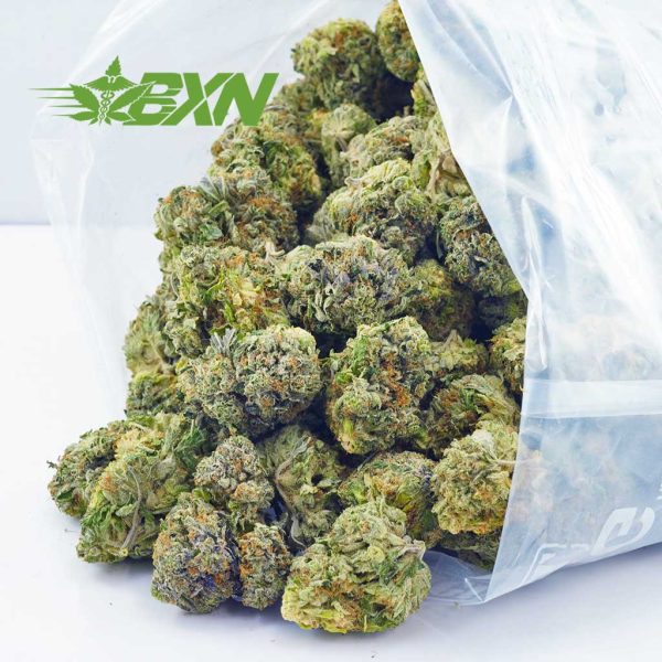 order weed online Blueberry OG strain. buying weed online from best canadian online dispensary.