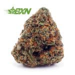 Buy Banana Cream AAA at BudExpressNOW Online