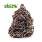 Buy Tuna Kush AA at BudExpressNOW Online