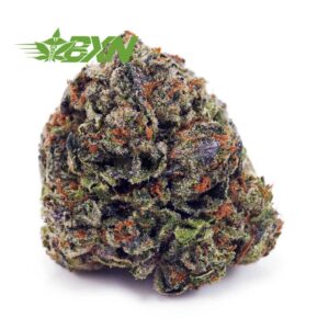 Buy King Louis Xlll AA at BudExpressNOW Online