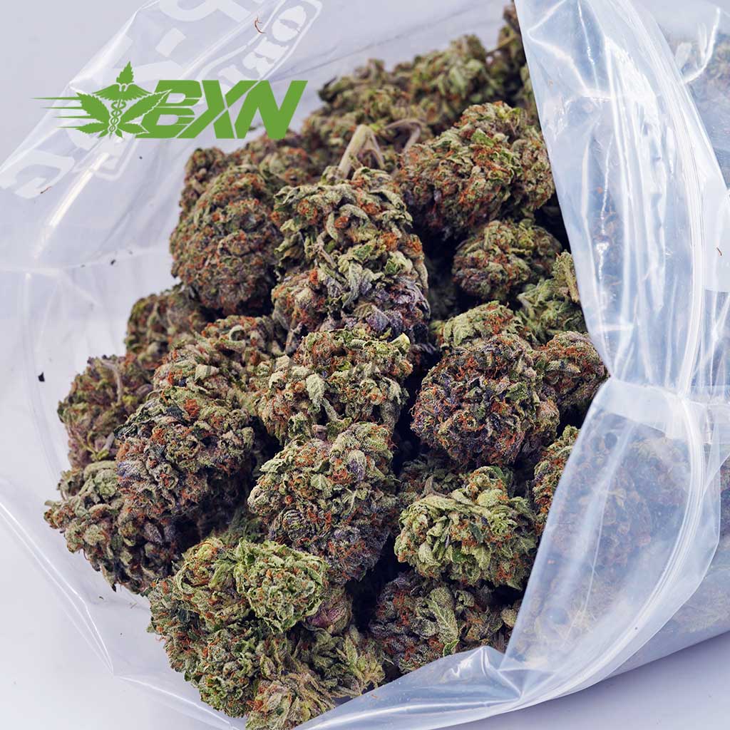 Buy King Louis Xlll AA at BudExpressNOW Online