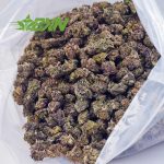 Buy Chemdawg AAAA (Popcorn) at BudExpressNOW Online