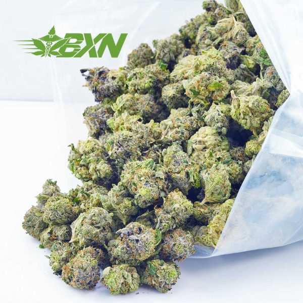 Order weed online Grape Ape AAAA cannabis popcorn bud from Bud Express Now. Rosin vs resin. buy shatter online. Buy weed online in Canada.