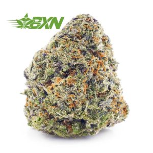 Order weed online Orange Cream Soda strain from Bud Express Now. weed online canada. budget buds. mail order marijuana.