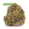 Order weed online space cookies strain from the top mail order marijuana online dispensary in Canada. purple space cookies.