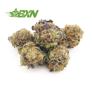 Order weed online tahoe cookies strain from BudExpressNow online dispensary for mail order weed online. buy my weed online at budexpressnow.