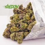 Buy weed online island skunk strain at BudExpressNow online dispensary for mail order marijuana.