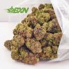 Buy tom ford pink strain from online dispensary in Canada Bud Express Now. xpressbud. buy bud now from budexpressnow.