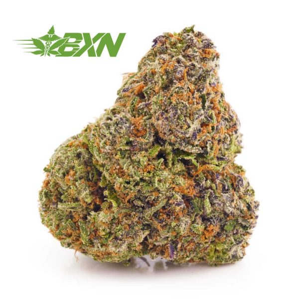 Buy space queen weed online at BudExpressNow cannabis canada online dispensary. mail order marijuana. online weed canada. buy low buds.