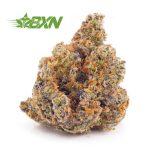 Buy Mendo Breath weed online craft cannabis from Bud Express Now mail order weed Canada. xpressbud. buy bud now from budexpressnow.