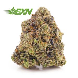 Buy Gary Payton strain weed online at budexpressnow online dispensary and mail order weed Canada. buy weed online canada. cheapbuds.