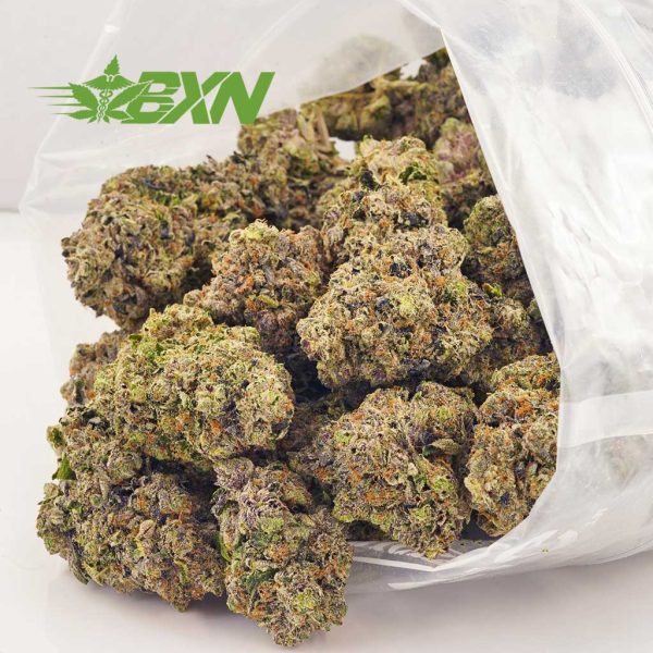 buy weed online gary payton strain craft cannabis mail order marijuana. canadian online dispensary. buy weed. sativa strains.