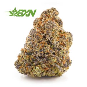 Order weed online pineapple godbud strain from the top mail order marijuana online dispensary in Canada. order weed online. mail order marijuana. black diamond strain. weed shatter.
