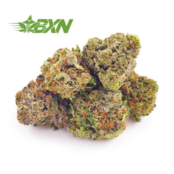 buy weed gas mask strain and purple gas mask strain in Canada. canadian online dispensary. buy weed. sativa strains.