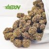 Buy black cherry weed & Black Cherry Gas AAA weed online in Canada. xpressbud. buy bud now from budexpressnow.