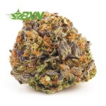 Order weed online Alien Wedding Cake strain AA weed from BudExpressNow. buy online weeds. buy my weed online. weed canada.