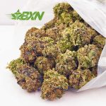 Buy weed online Alien Wedding Cake AA weed from top mail order marijuana weed shop BudExpressNow. online dispensary. cannabis canada. weed online.